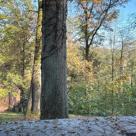 2 Bedroom Amazing In Hastiere *